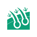 transplante-de-pelo (1)